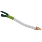  Artificial Vegetable Model Simulation Green Onions Model Photo Prop Artificial
