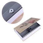 Dictionary Secret Book Security Dictionary Money Security Safe