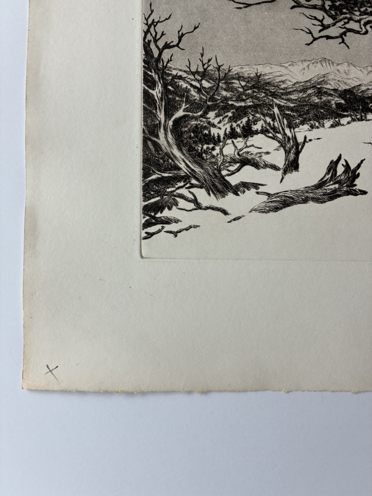 Picture 5 of 10