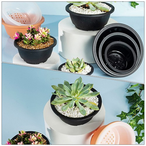 6 Pcs Succulent Combination Pot Cactus Planter Plants Flower Bowl