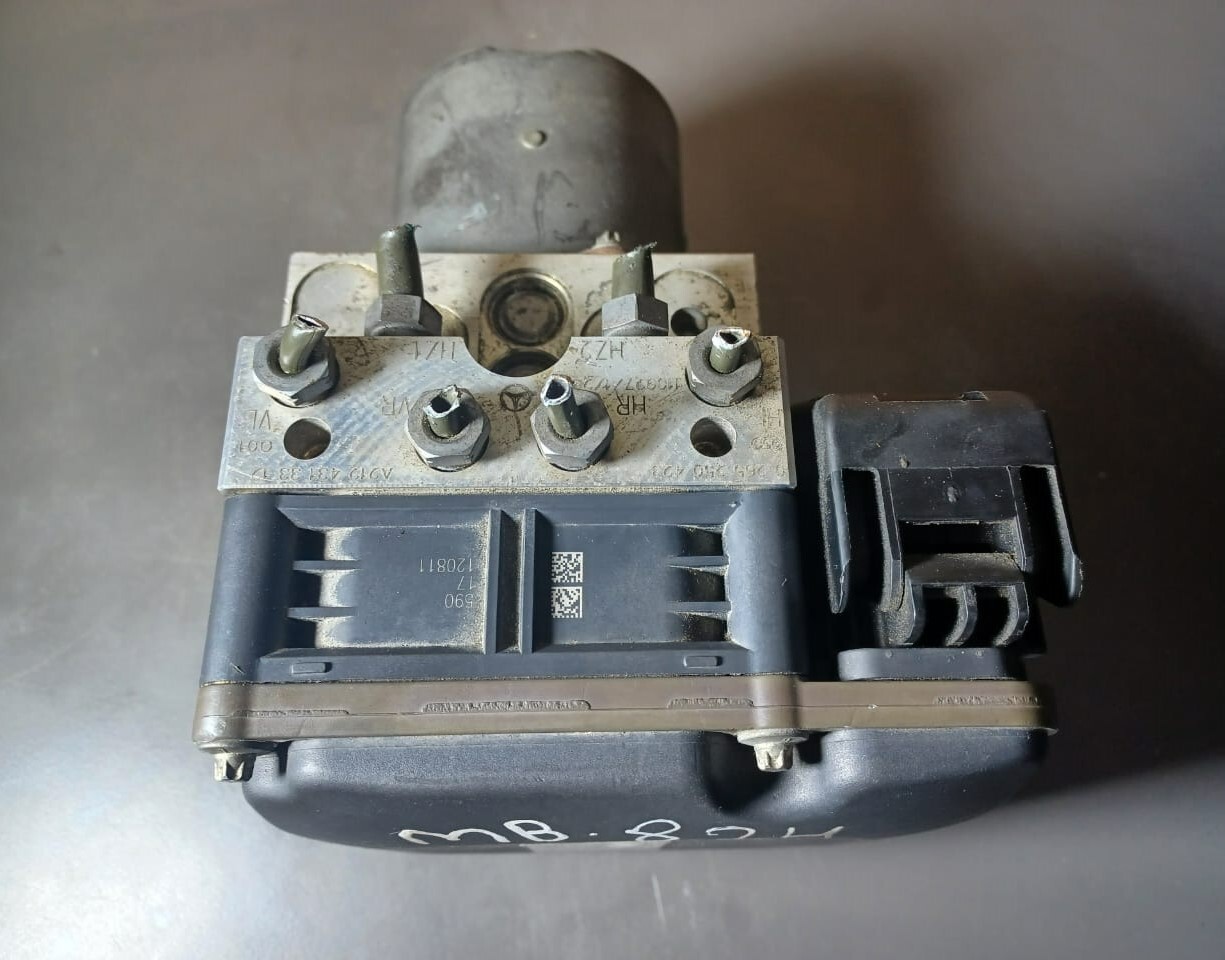 Picture 5 of 11