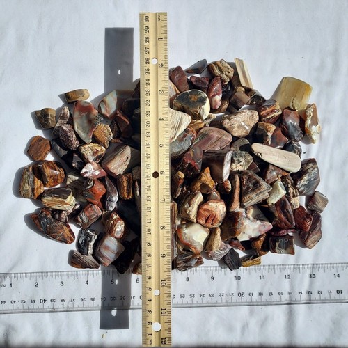 Heber, Utah Petrified Wood Tumbled Stones - Tumbled Gemstones Bulk - Picture 29 of 32