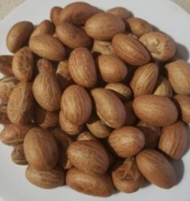 PETIT COLA AFRICANA / COLA GARCINIA 2 kg