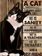 5D Cat Diamond Painting Kits for Adults,Diamond Art Cute Animal Inspirational...