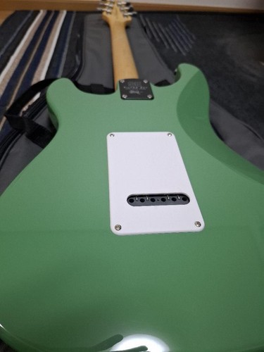 Paul Reed Smith SE Siver Sky Ever Green Safe Packing! - Picture 6 of 11