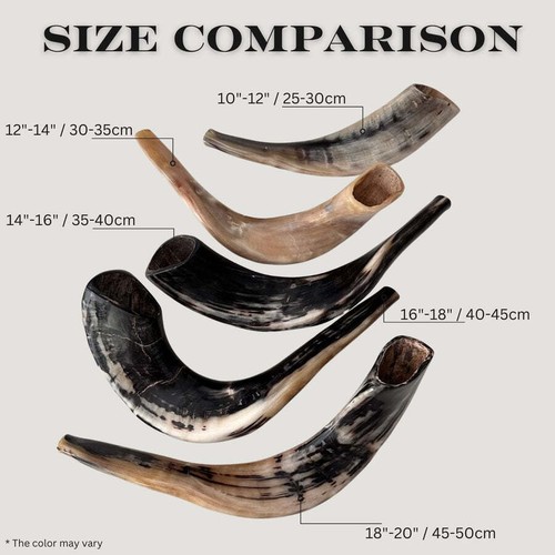 Shofar cuerno de carnero pulido kosher de Israel Jerusalén - Imagen 2 de 6