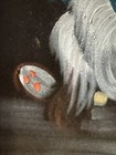 Picture 5 of 17