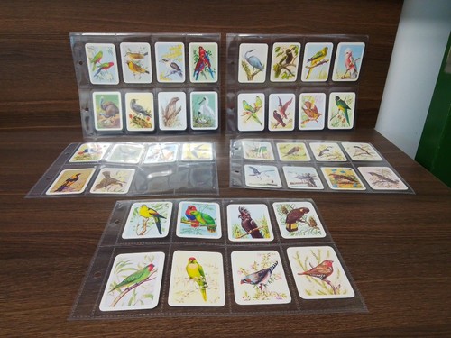 Kinkara Teekarten "Australiana Bird Studies"