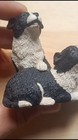 Video 1 von 1