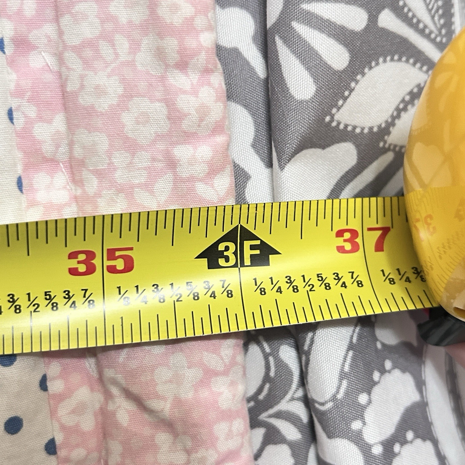 Foto 12 di 12
