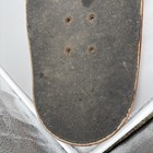 Foto 16 di 18