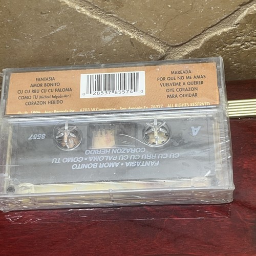 Bien Cuidada by Patsy Torres (Cassette, Discos Joey Int) Nuevo Sellado Tex-Mex - Picture 7 of 8