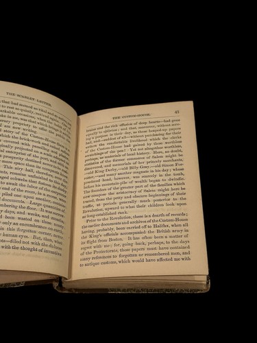 📚Rare Antique Book - The Scarlet Letter: A Romance by Nathaniel Hawthorn - 1882 - Bild 12 von 20