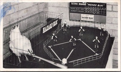 RPPC Chicken Baseball San Diego County Fair Del Mar CA Hazard Bloc Hens