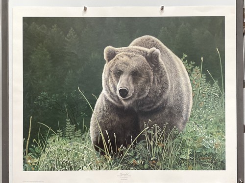Unübertroffener Charles Frace Wildlife Grizzlybär signierter Braunbär Kunstdruck - Bild 2 von 9