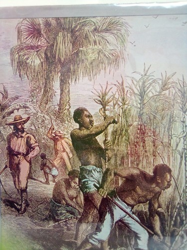1978 Bison Books Limited The Slaves- Hard Cover Book By Susanne Everett removed - Imagen 2 de 6