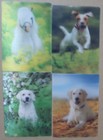 Foto 1 di 2