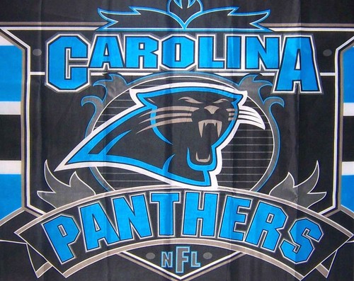 CAROLINA PANTHERS END ZONE 3x5 FLAG #1 Quality Genuine NFL Licensed Made in USA - Picture 2 of 4