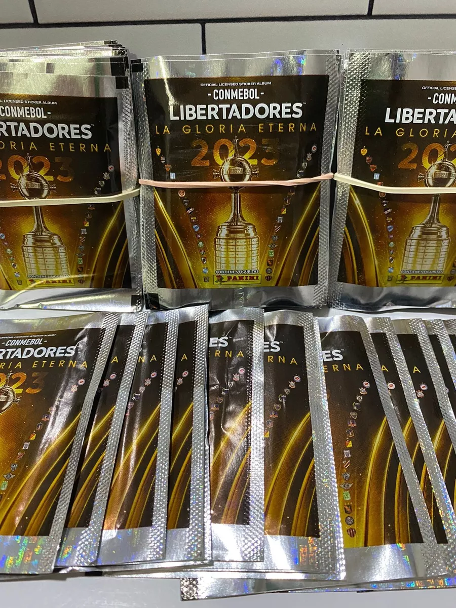 Os times classificados para a Libertadores 2023