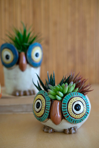 Owl Planters Pot Flower Garden Succulent Herb Plant Ceramic Birds ~ Set Of 3 - Picture 5 of 6