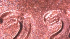 Photo of a 2023-D Lincoln Shield Cent from an eBay listing that sold on Jul 15, 2026
