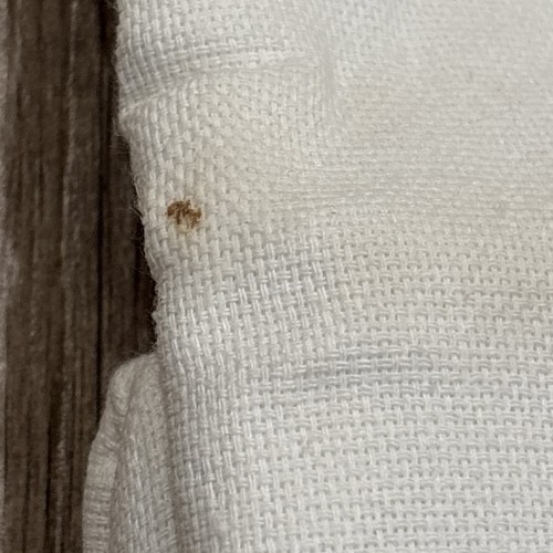 Kate Spade pillow euro sham FRAME white/ navy- New FLAW - Picture 3 of 10