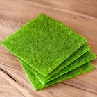 8 Pcs Artificial Moss Grass cm X 15 cm Miniature Garden Lawn Ornament