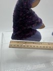 Picture 13 of 13