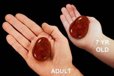 Red Agate Crystal 2 1/2" Tumbled Polished Rock Mineral Specimen Chakra Healing Red Agate Crystal 2 1/2" Tumbled Polished Rock Mineral Specimen Chakra Healing