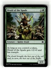DRUID OF THE SPADE Bloomburrow #170 BLB(NM+)(MTG)
