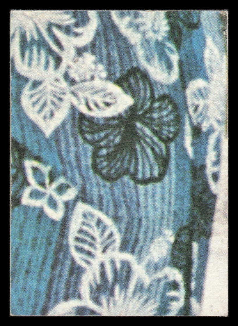 Picture 344 of 586