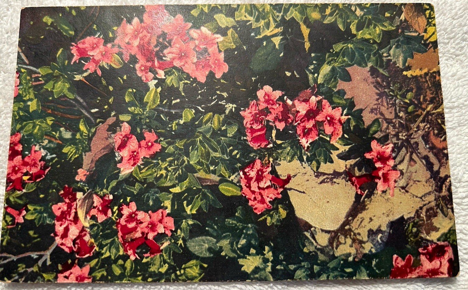 Picture 1 of 2