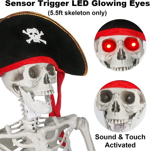 Halloween Skeleton Decor Prop Life Size Posable Sound Activated Light Up LED Eye - Picture 3 of 16
