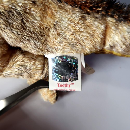 TY Beanie Baby - Toothy the Tyrannosaurus Rex | ​MWMT New Mint Tags | Retired - Picture 8 of 15