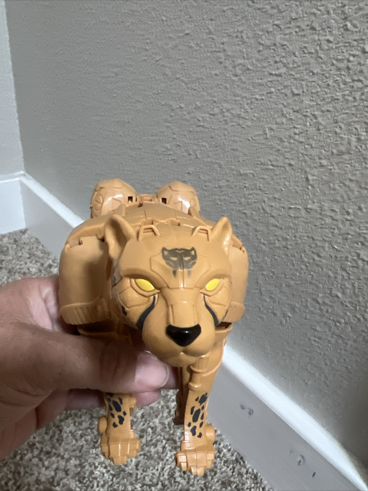 Picture 4 of 5