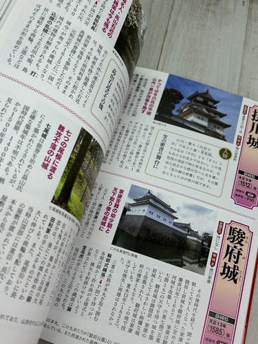 1000 Japanese Castles Photo Book Japan Architecture Historic Sites Maps Drawings - Bild 13 von 24