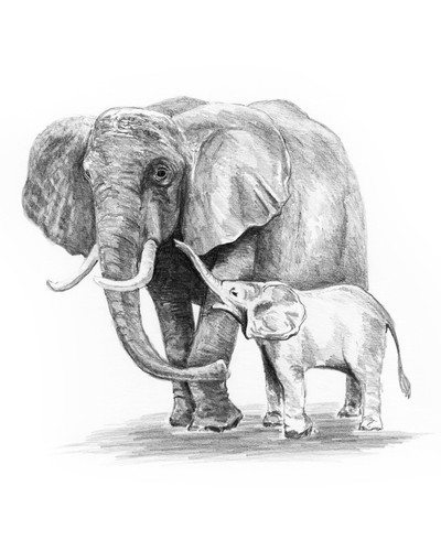 LEARN TO DRAW WILD ANIMALS ARTIST SKETCHING MADE EASY DRAWING SKETCH PENCILS SET - Picture 7 of 12