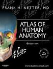 Atlas of Human Anatomy: Including Student Consult Interactive Ancillaries and Guides by Frank H. Netter (Paperback, 2014)