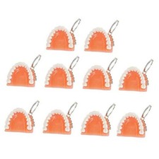 5Pcs Funny Resin Tooth Kyechains Adorable Hanging Ornament Key Rings Picture 2