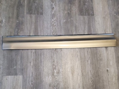 1998-2005 Buick Park Avenue 54U Bronze Mist LH Front Driver Door Trim Molding