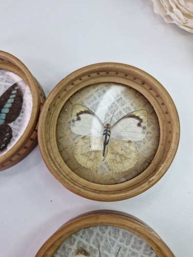 Vintage Bambus gepresst Schmetterling Untersetzer komplettes Set mit Ständer Boho - Bild 8 von 10