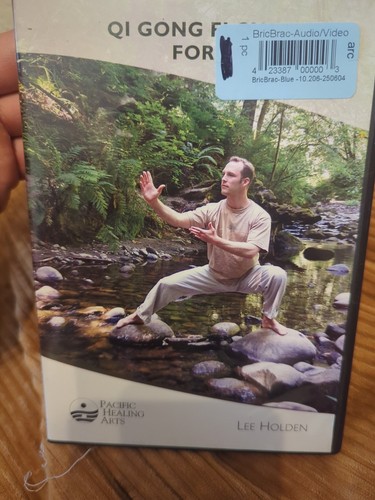 Qi Gong Flow für Anfänger mit Lee Holden (DVD, 2004)