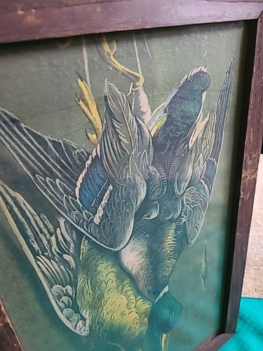 Chromolithograph Antique Print 2 Hanging Ducks Framed Early 20th Century - Picture 20 of 21