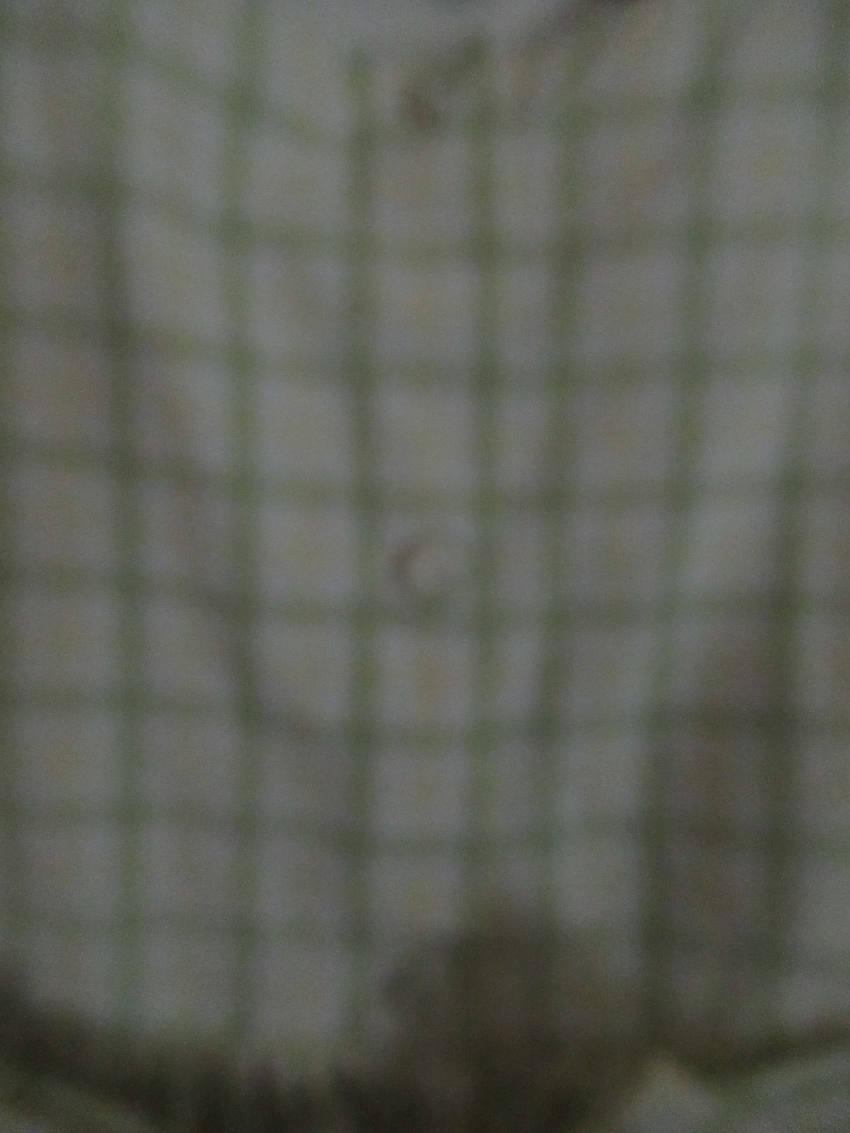 Picture 9 of 9