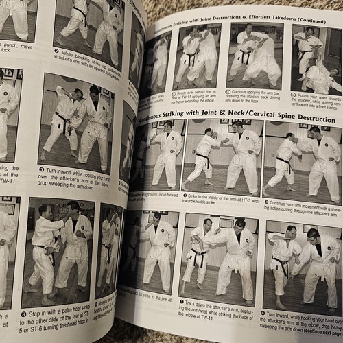 Lot of 5 International Martial Arts Symposium Annuals Columbia South Carolina - Picture 15 of 20