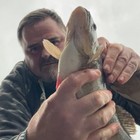 lancashire_creatures
