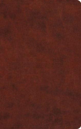 ESV Großdruck Value Thinline Bibel (Trutone, Kastanie)