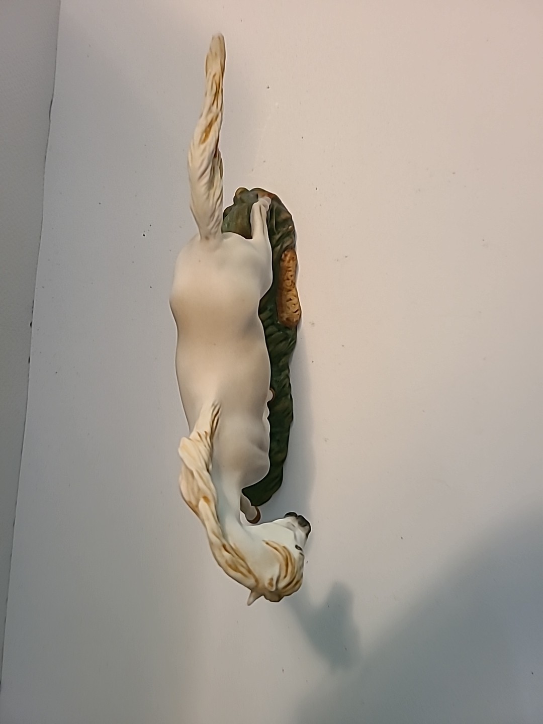 Picture 5 of 5