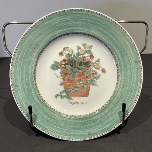 Wedgwood Sarahs Garden Green Salad Plate 8" Fragaria Vesca Retired Cottagecore - Picture 3 of 4