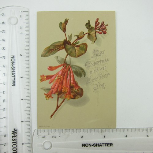 Victorian Christmas Card Raphael Tuck & Sons Pink Honeysuckle Flowers Antique - Imagen 12 de 12